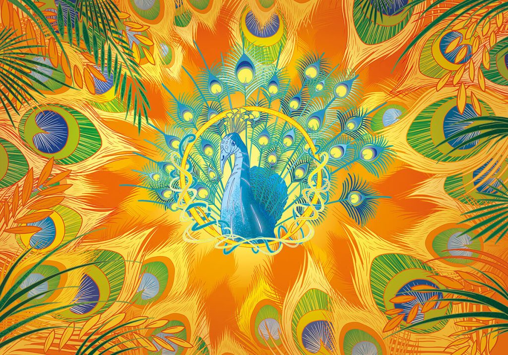 illustration-paon-axomgraphics